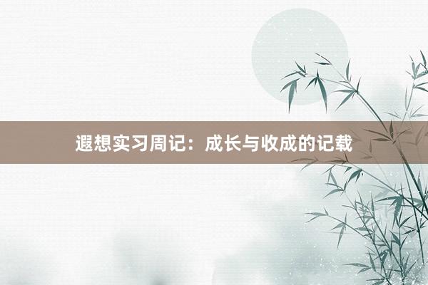 遐想实习周记：成长与收成的记载