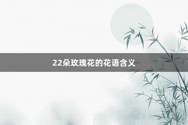 22朵玫瑰花的花语含义