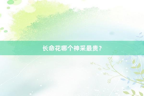 长命花哪个神采最贵？