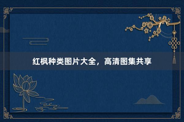 红枫种类图片大全，高清图集共享