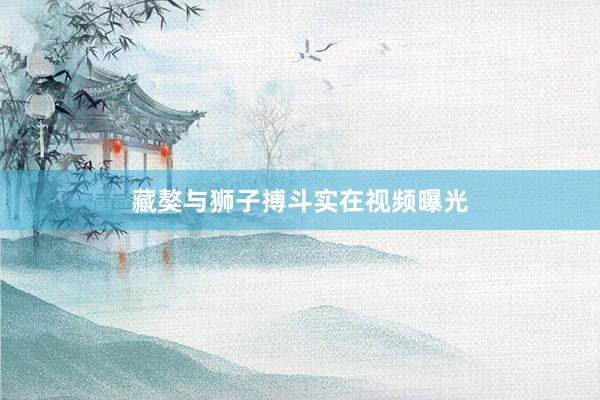 藏獒与狮子搏斗实在视频曝光