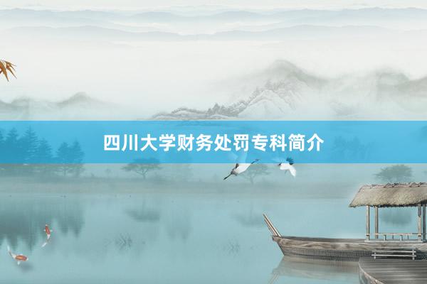 四川大学财务处罚专科简介