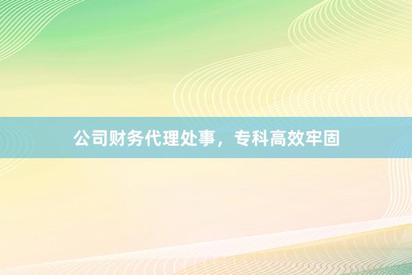 公司财务代理处事，专科高效牢固